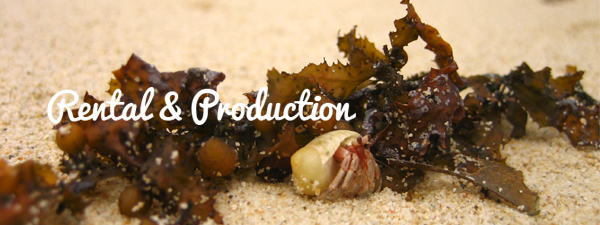 HP���ݍ쐬��-dikker-